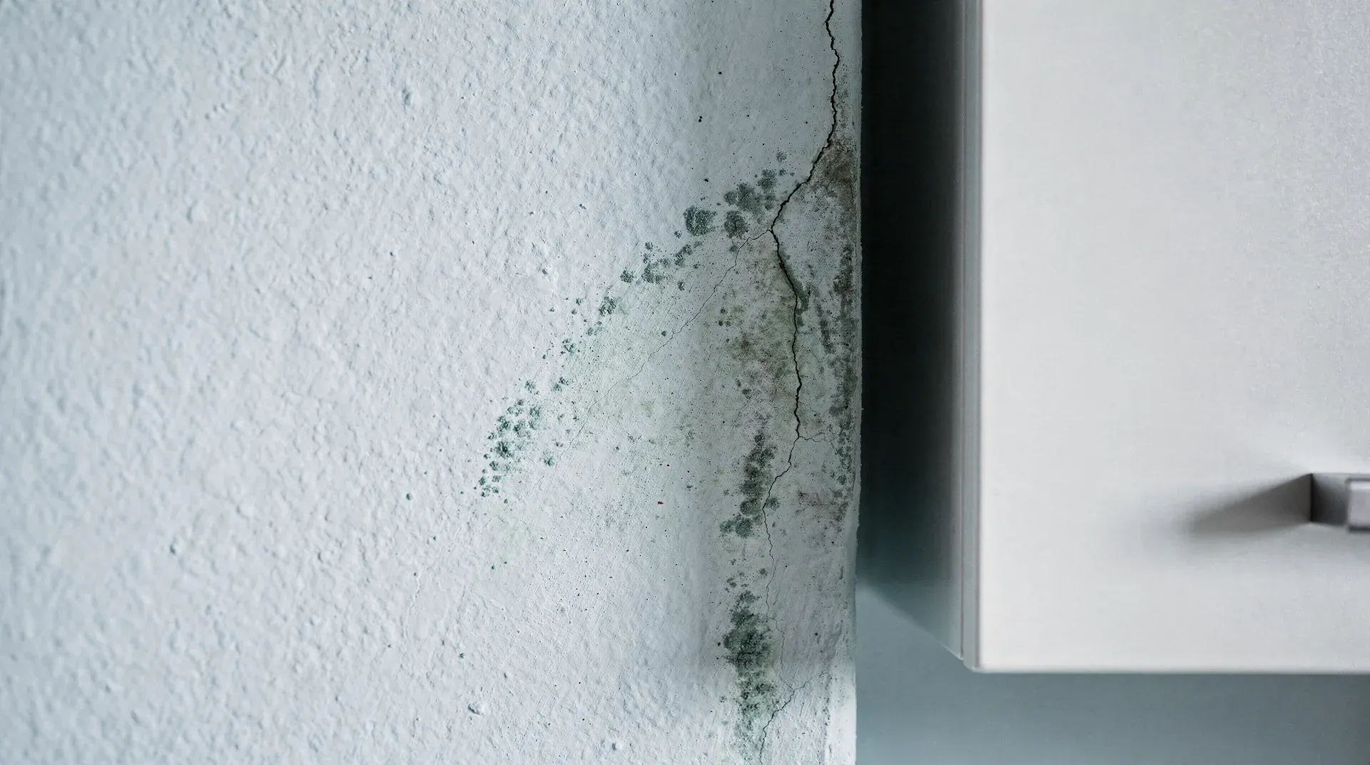 Frisch gestrichene Wand mit leicht geöffnetem Schrank, dahinter feiner Schimmelansatz